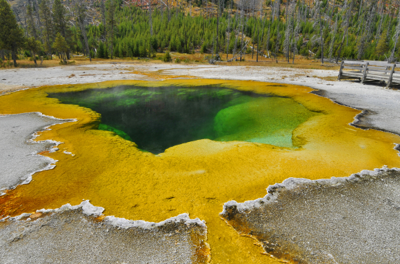Emerald pool (Yellowstone NP, USA)